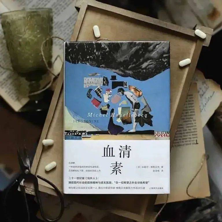 好书·推荐 | 《血清素》:你为什么总是不开心?_维勒贝克_法国_新书