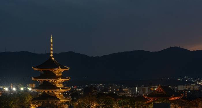 小家电2022年半年报：苏泊尔九阳新宝与科沃斯莱克小熊的周期论-家电圈官网