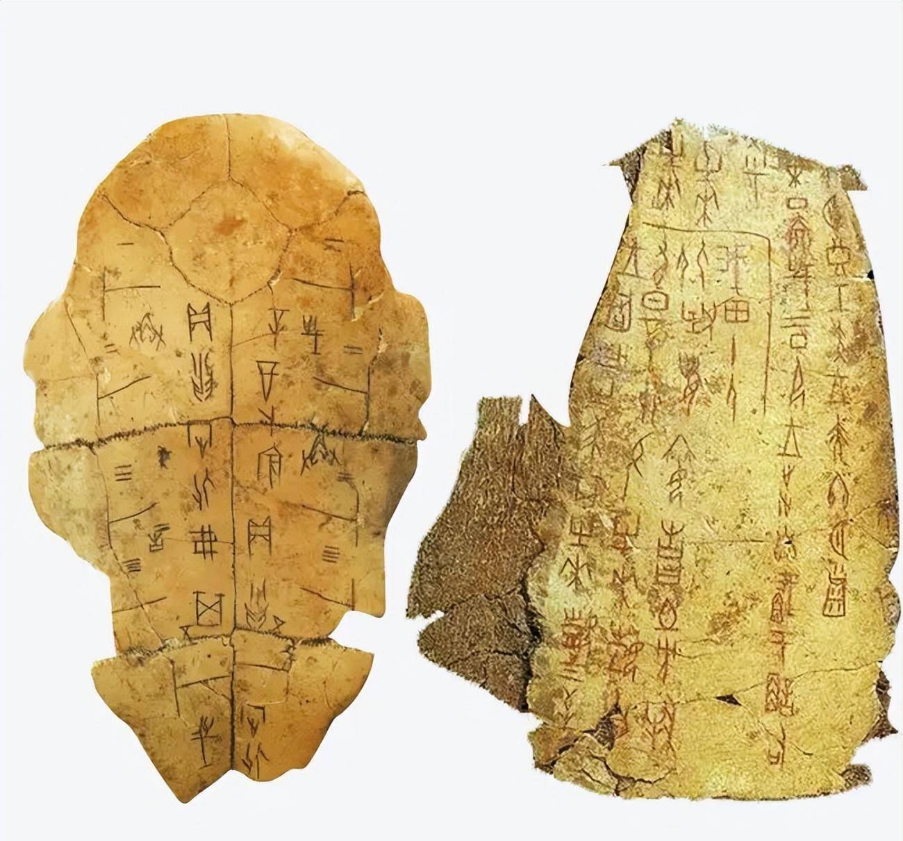 最早的古代中国人将文字刻录在兽骨或龟壳上,即甲骨文.