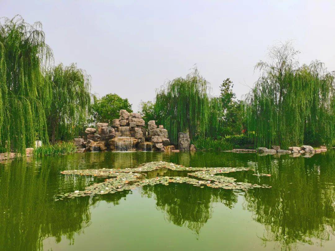 赵县自强公园占地面积4万平方米,以绿地见长,乔灌草相结合,注重色彩