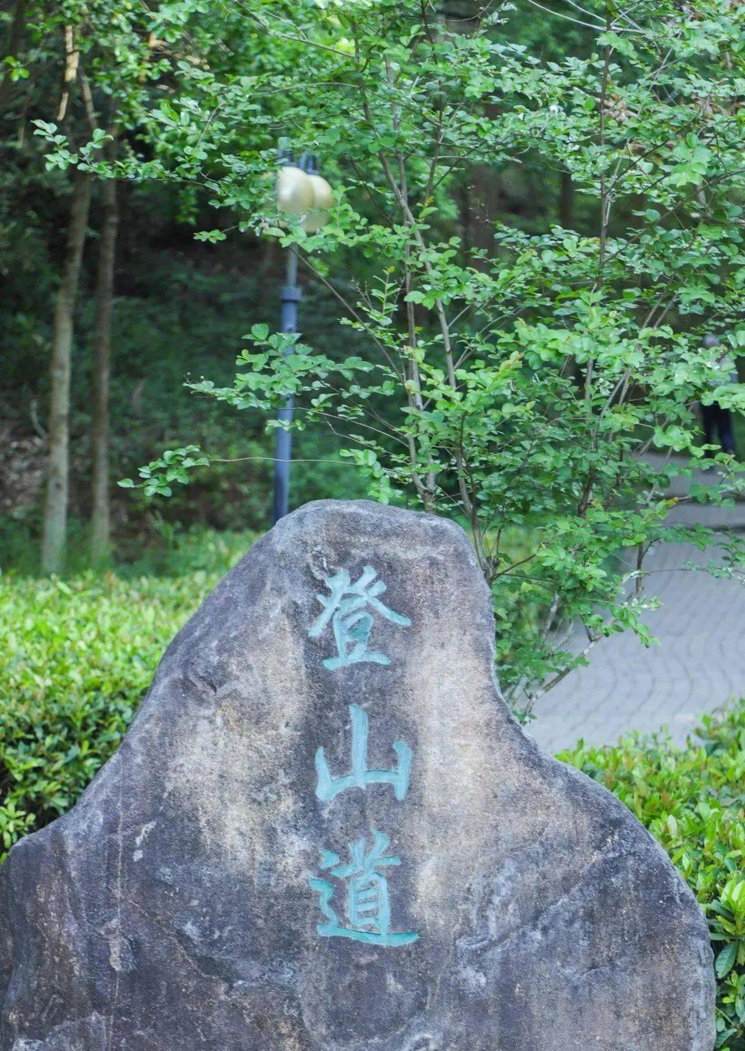 或是到博艾学堂静坐休息或是到中医药文化园了解养生