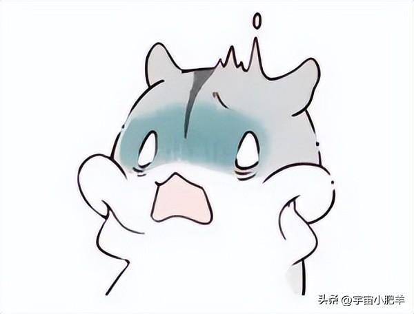 嘉宾许凯,彭昱畅n上热搜,这个综艺找到了正确的打开