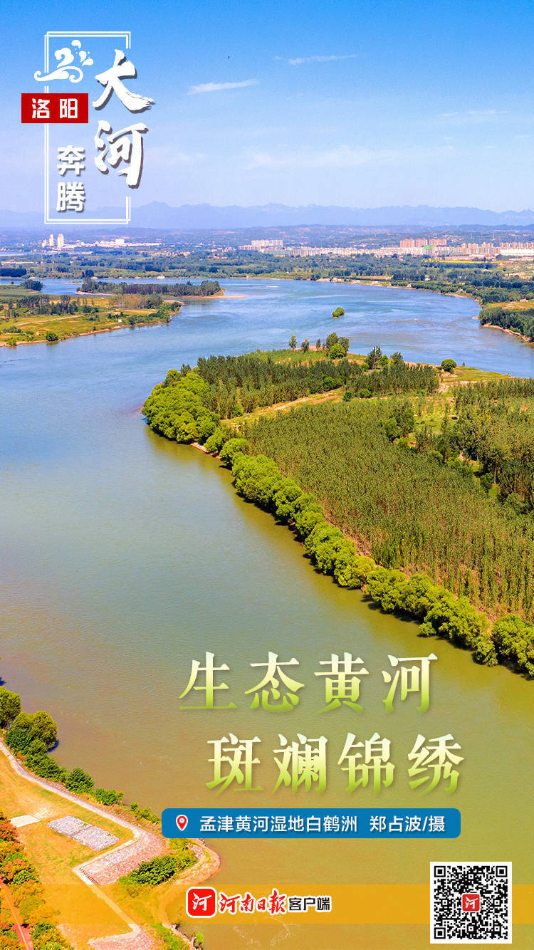 海报| 大河奔腾·洛阳:生态黄河 斑斓锦绣_坤源_梁振廷_相关