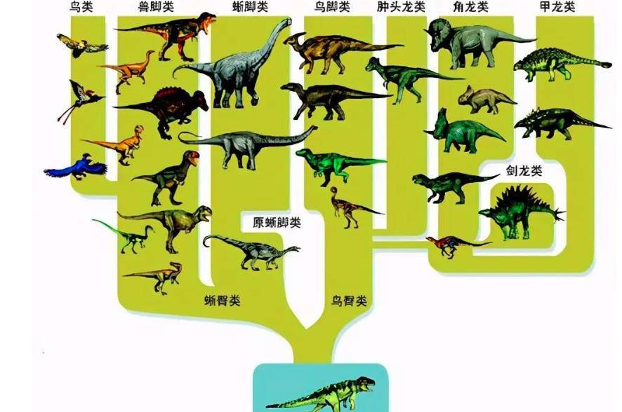统治了地球1亿7千万年,恐龙却没有进化成高等智慧生物,为何?