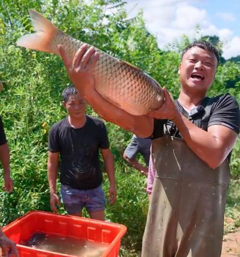 江西大表哥下河摸鱼爆红,他的做法暴露真实人品_直播_网友_承包