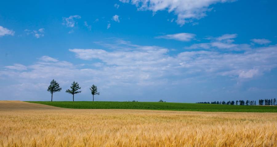 空调厂商与高温天气的危与机-家电圈官网