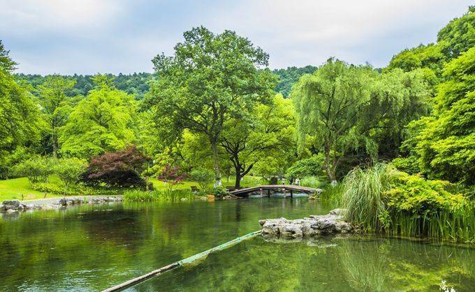 杭州这个公园霸占了西湖一半的美，充满田园风韵，游客还不多