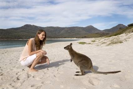 亲临塔斯马尼亚东海岸，带你感受旅行澳大利亚的多样魅力