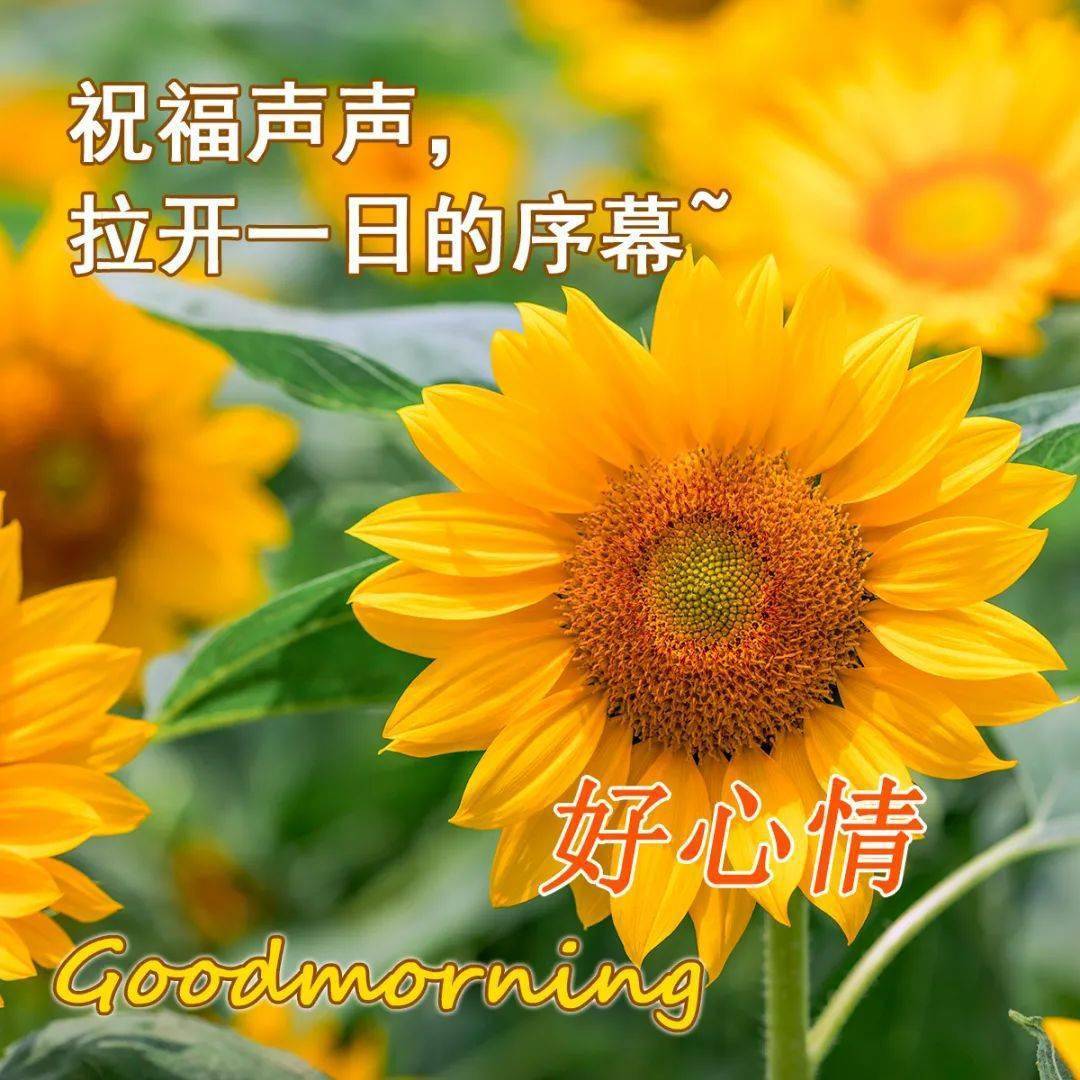 创意唯美秋日风景早上好动画表情图片_祝福_生活_问候