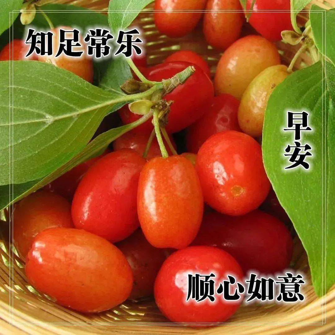 9月13日最新早上好祝福动态表情图片大全,秋天早安问候语句子!