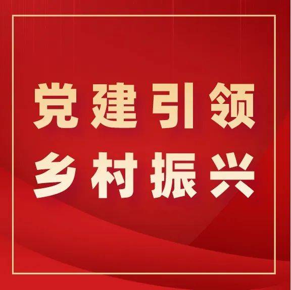 【党建引领 乡村振兴】东高村镇擦亮提琴之乡的金名片_企业_华东_活动室