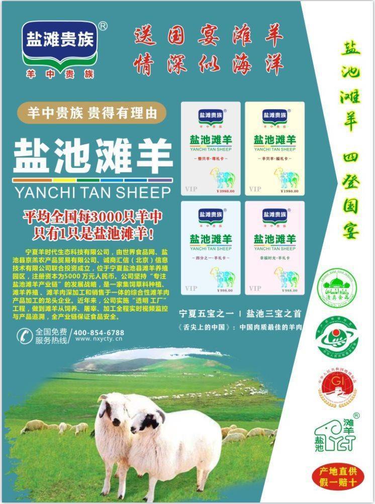 中国十大顶级羊肉——为何盐池滩羊居于首位_草场_草原_新疆