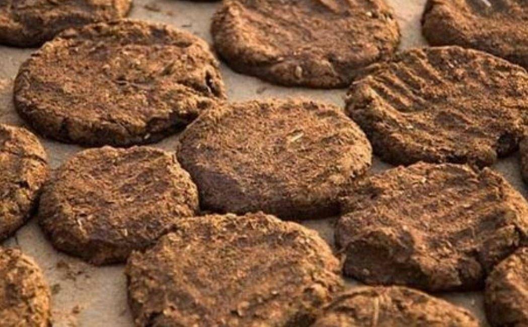 印度"牛粪饼"经常卖到脱销,究竟有什么用处?_影响_人们_文化