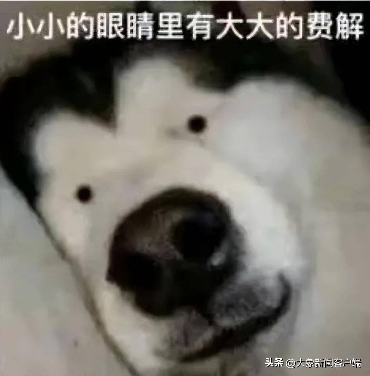 "是口头禅,道歉是基本技能,说话文气带着礼貌词,眼神单纯无邪,不圆滑