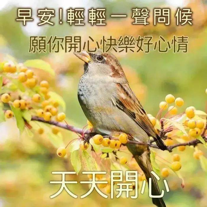 8张秋日风景祝福语的早上好图片大全免打字 秋日清晨早安问候图片精选