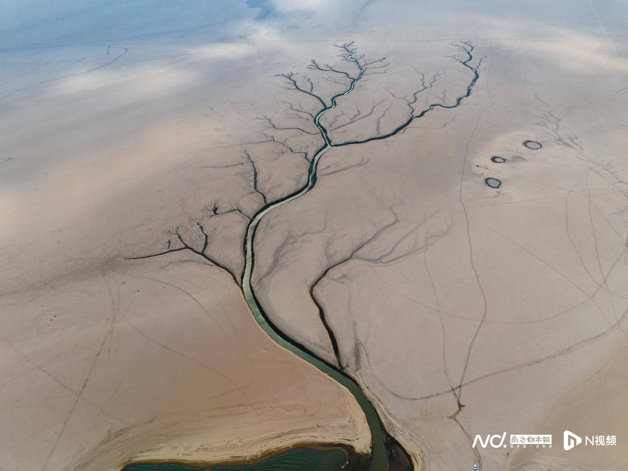 鄱阳湖枯水期现状：干涸河床成游乐场，部分水稻遭虫害减产