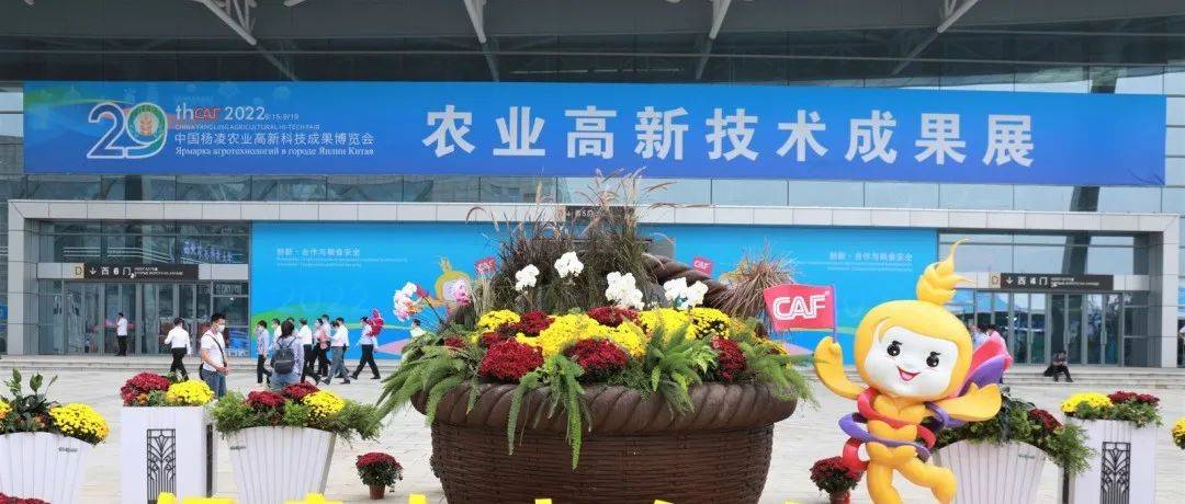 第29届中国杨凌农高会开幕_农业_科技_云上展