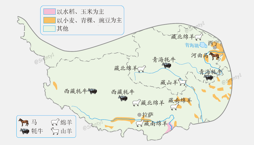 青藏地区的农牧业分布图青藏地区的农业以小麦,青稞为主,主要分布在