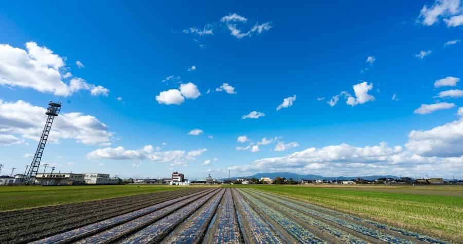 国家再次出手护盘家电企业和市场-家电圈官网