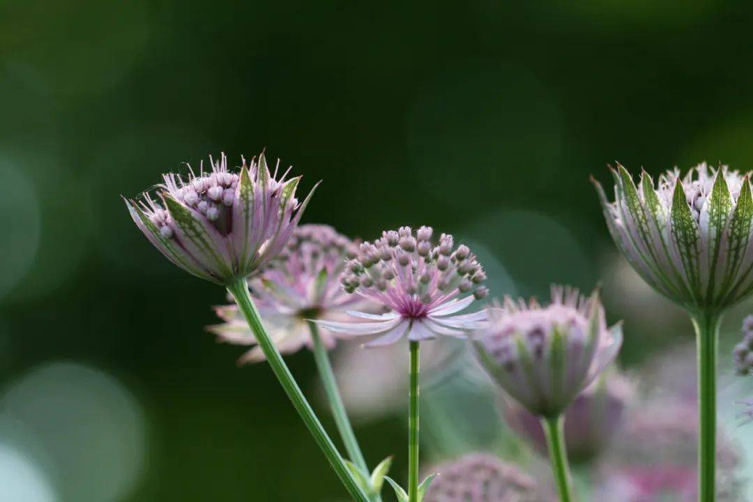 风靡市场的电动晾衣架，飞利浦苏宁宜品cobbe等品牌不合格-家电圈官网