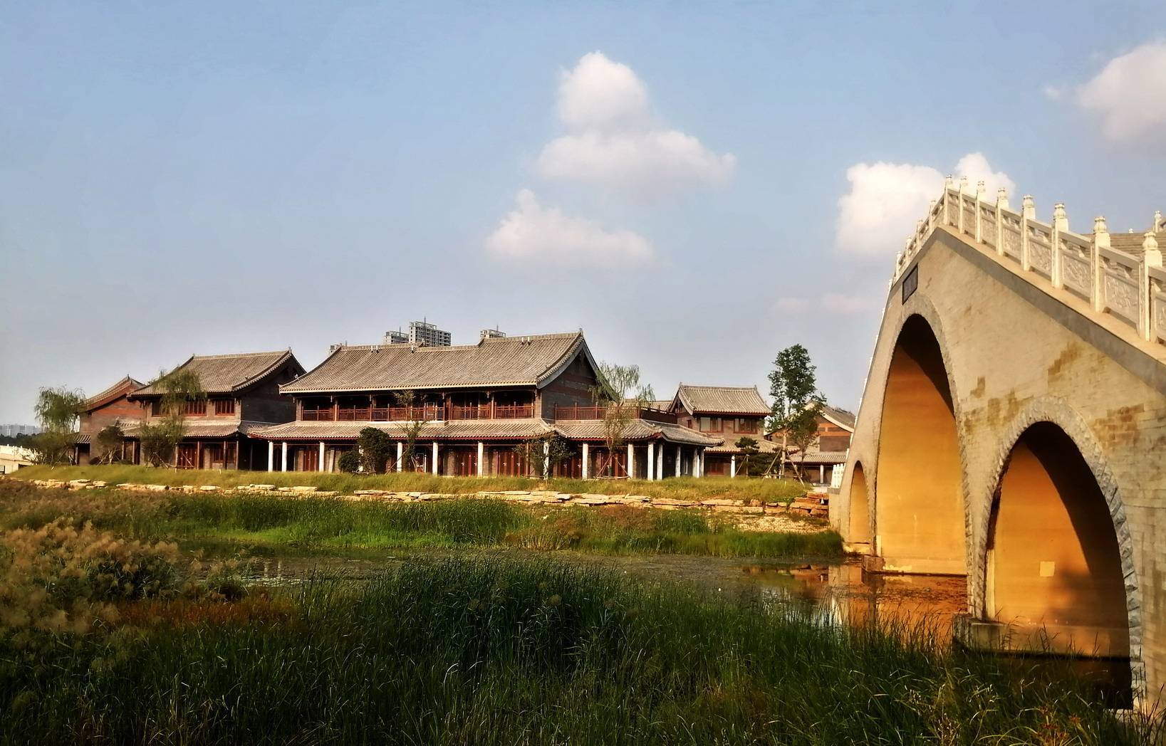 芦花飘香贾鲁河明伦岛_河床_上游_曲星