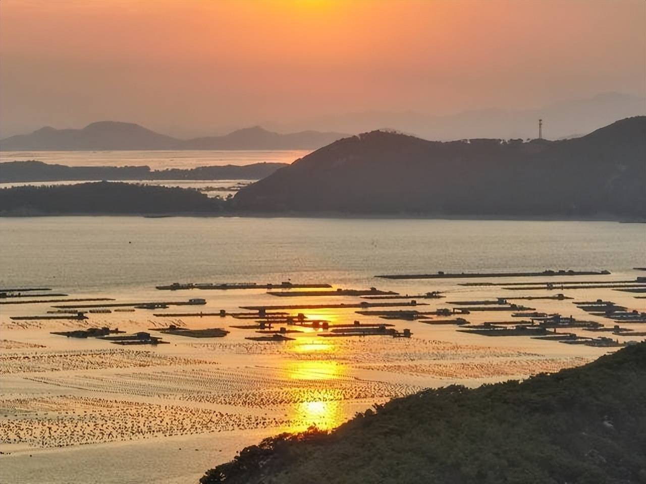 观鸟,拍鸟爱好者的"白鹭天堂"——潮州西澳岛_海岛_鹭鸟_夕阳