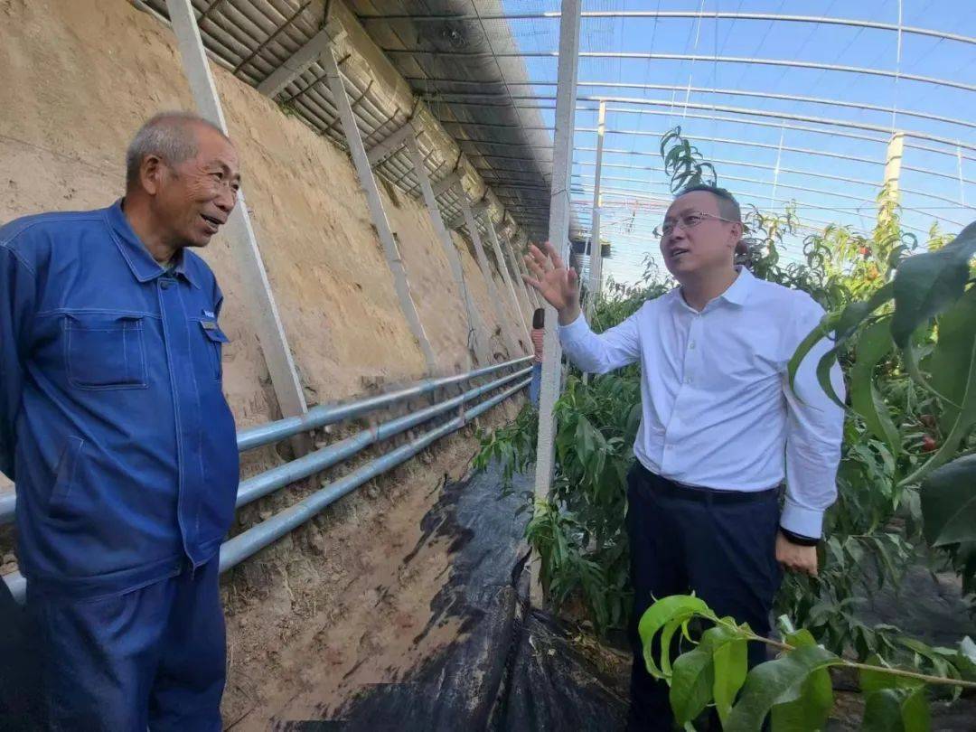 山西忻州张福田简介图片