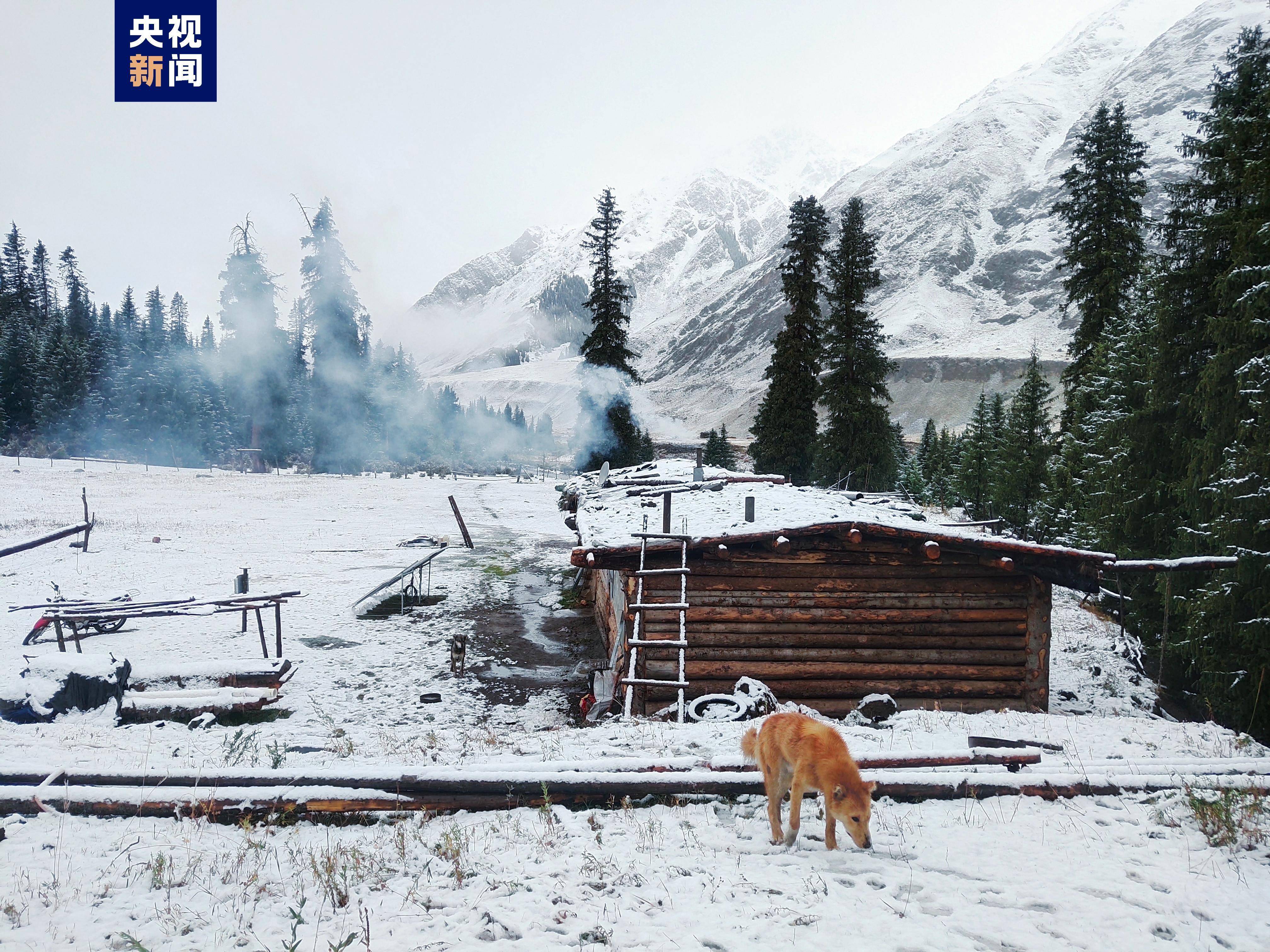 新疆昭苏：天山牧场迎来今年第一场秋雪