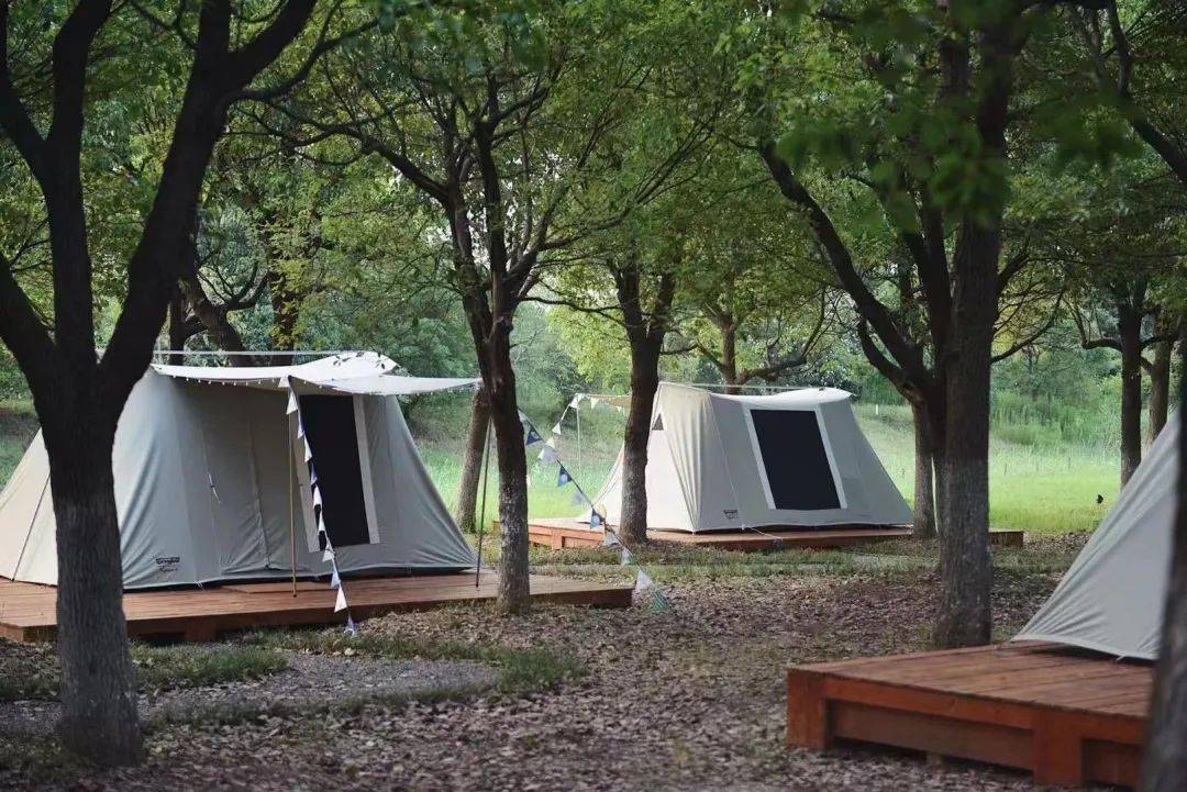有趣不扎堆,出发去露营!_太湖_吴中区_营地