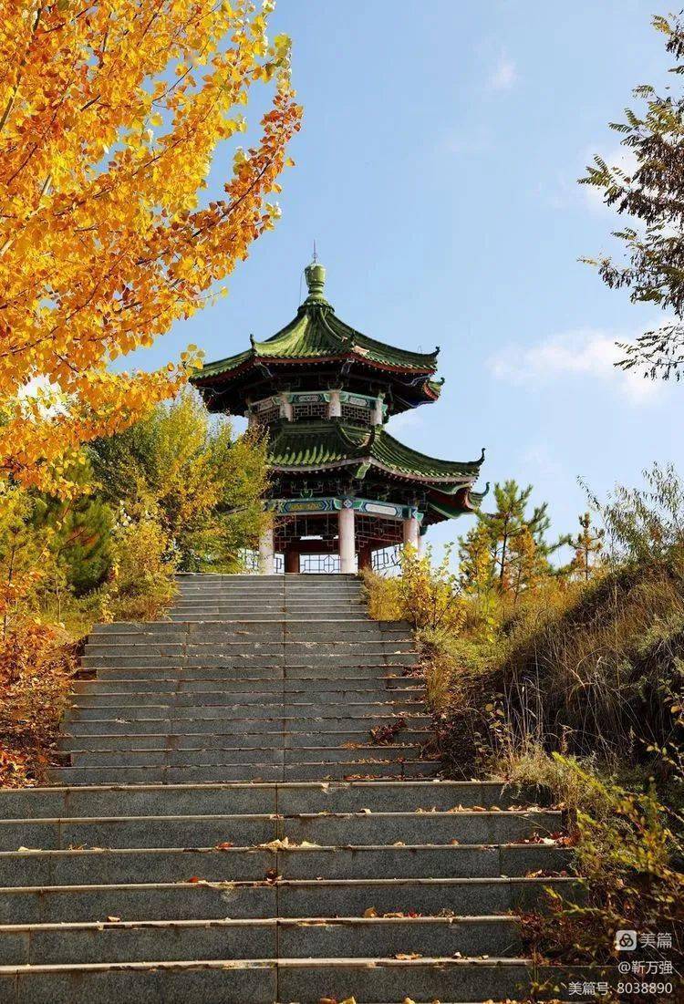 用镜头定格静宁的岁月静好……_甘沟_靳万强_苹果