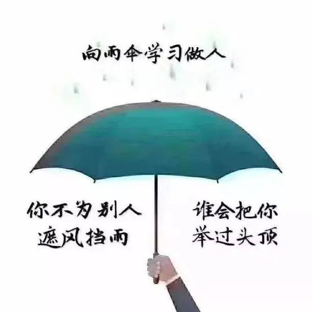 好漂亮的一段话,适合任何关系!_施于_什么_收获