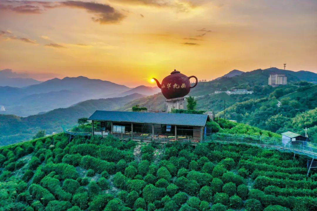 禅养瑜伽,竹林民宿,云海日出,来西九华山开启原生态的康养之旅~_中原