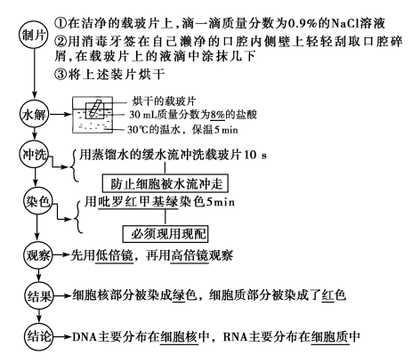 高中生物一轮复习知识清单 蛋白质,核酸,糖类,脂质_细胞_生物体_结构