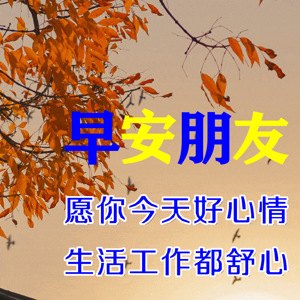 6张秋天最美的问候早晨好图片带祝福语，创意早上好祝福语动画表情图片_生活_阳光_冷或