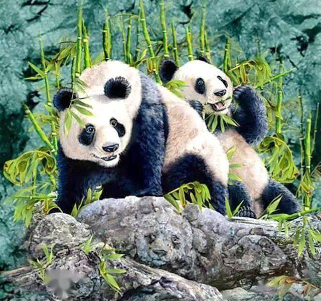 图上熊猫不止2只,你看出4只算眼力达标,要全看出来得是火眼金睛_眼力