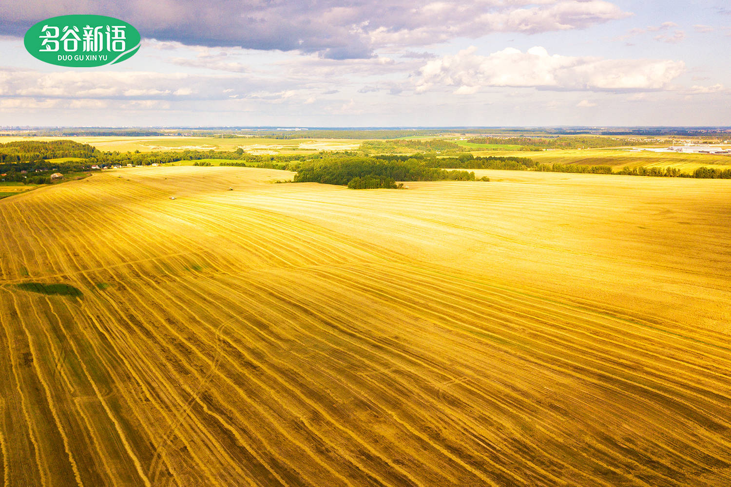 多谷新语首款孕妇专属亚麻籽混合杂粮上线 赋能营养膳食新主张_补充