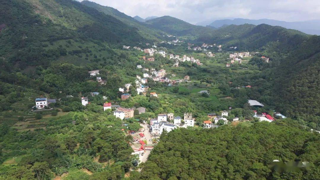 桂平市西山镇前进村拥有着连片绵延的森林,地势高耸的山峰,百转千回的