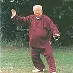 练好杨式拳有妙方,看名家一语道破“玄机”_太极_动作_傅钟文