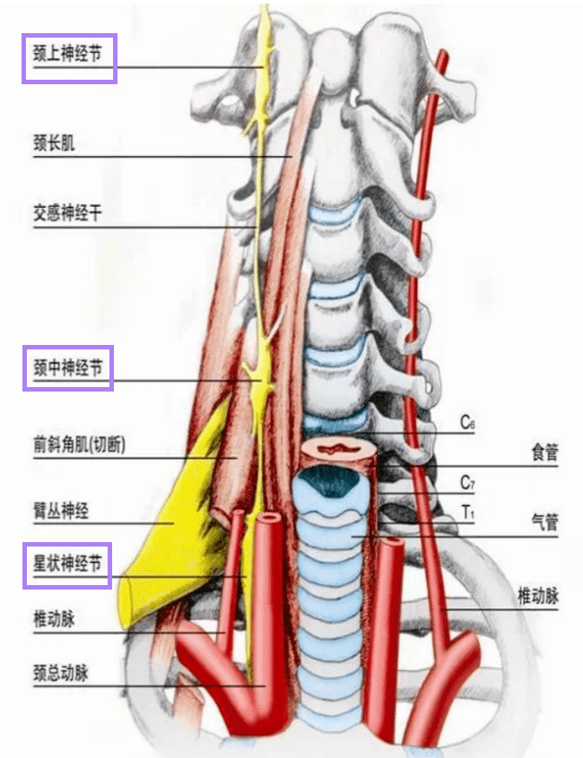 腾康锦囊 第32期 · 老师