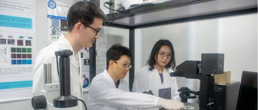 “科学探索奖”获得者张凡:做科研,没有捷径可走_成像_组织_赵东元