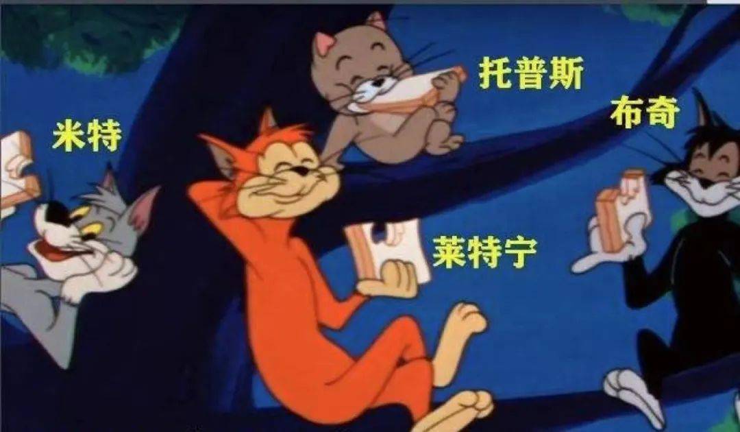 其实,他们一共有四只,分别名为布奇,米特,莱特宁,托普斯