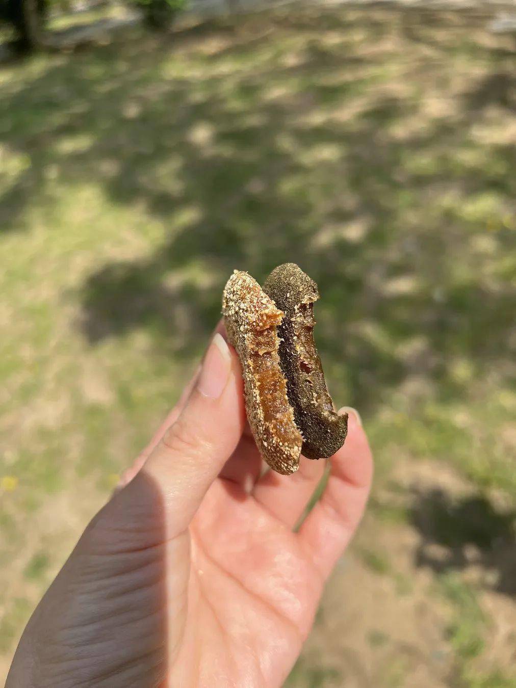 紫苏/陈皮擂枣饼：无核肉厚，甜酸软糯绵密弹牙味浓_搜狐网