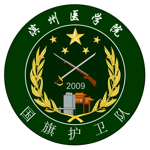 国旗护卫队队徽图片