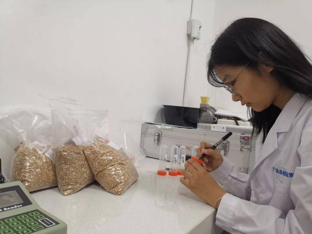广饶县检验检测中心高标准完成2022年粮食质量安全检验检测工作
