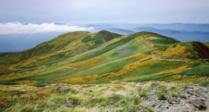 抢滩预制菜市场，海尔格兰仕美的格力们到底图什么?-家电圈官网