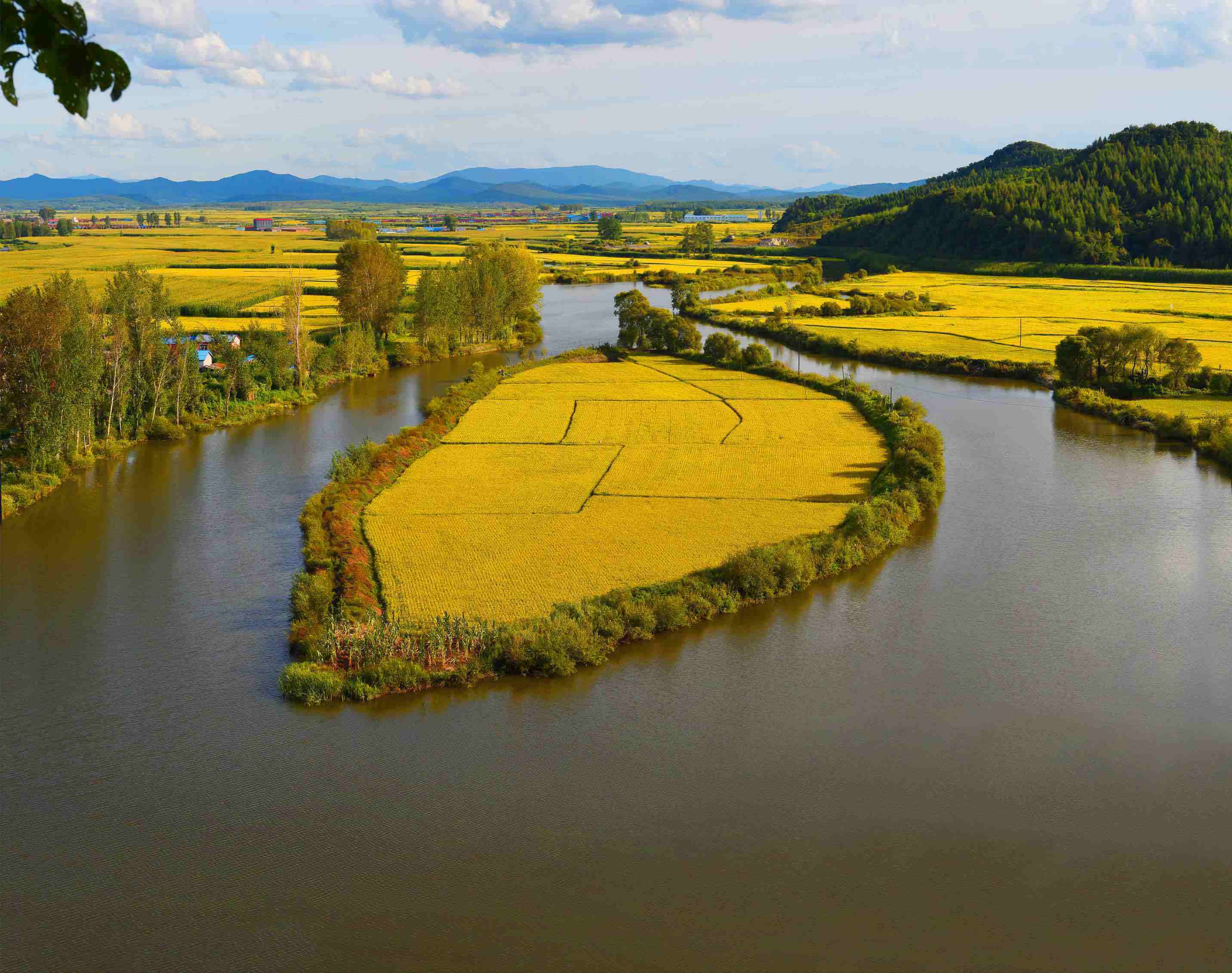 《神奇黑土地》之五常大米五奥秘_水稻_种植_种子