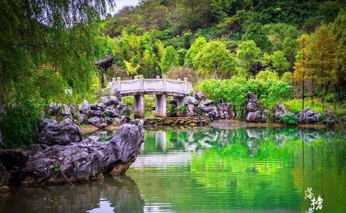 浙江也有石林景区，堪称“象形石动物园”，网友：这个纬度好神奇