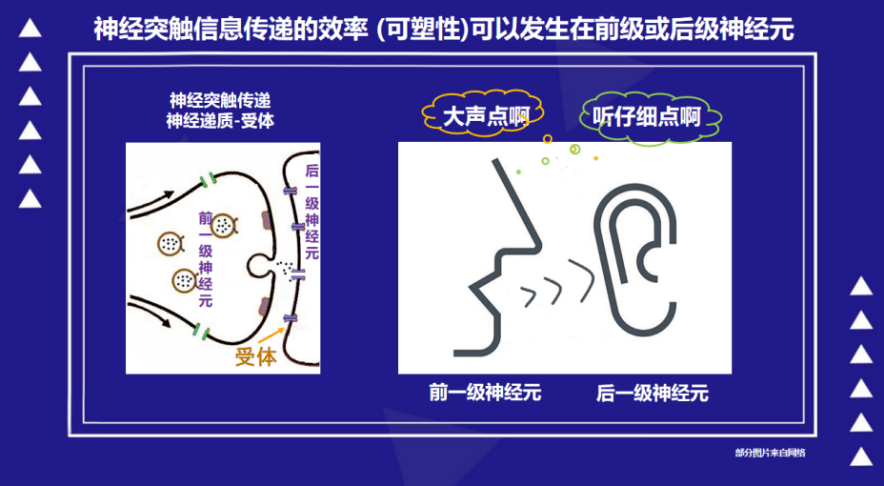 腦科學專家帶你走進多巴胺的