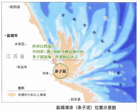 “神奇的潮汐树”背后蕴含了哪些地理原理?_作用_潮水_奇特