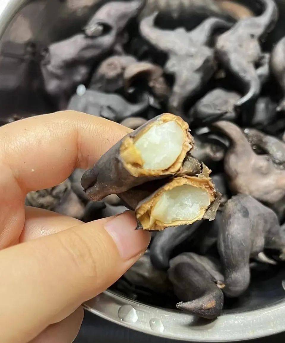 它被称为“水中落花生”,这道江南美味,益气健脾还抗癌!_功效_菱果_白糖
